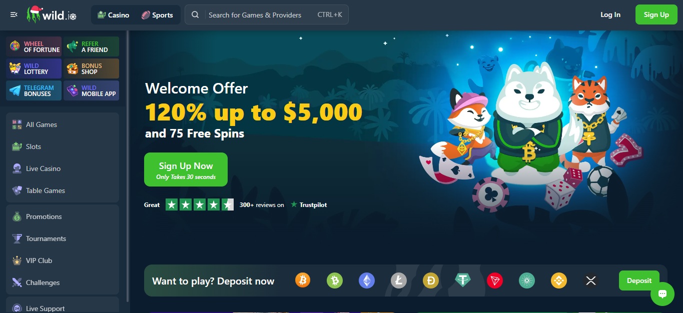 Wild.io é um casino reconhecido e popular no Brasil