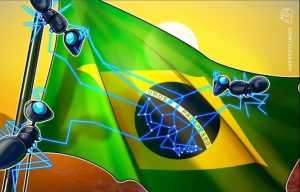 Futebol hoje - Argentina x Brasil
