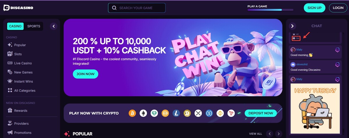 Discasino é uma plataforma de jogos online com recursos sociais integrados ao Discord