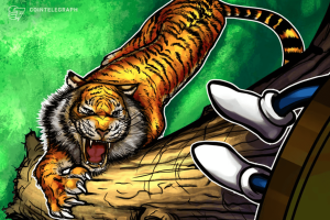 tigre sortudo cai nas graças do brasileiro